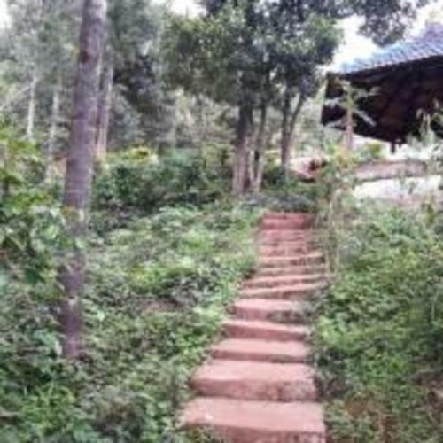 Tripthrill Silver Cloud Homestay