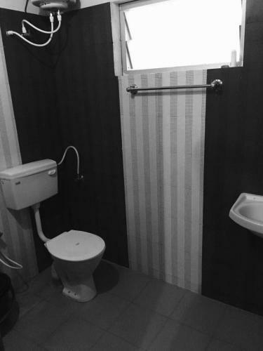 Silver Shadow Eco Stay