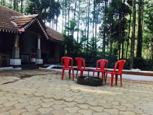 Silver Shadow Eco Stay