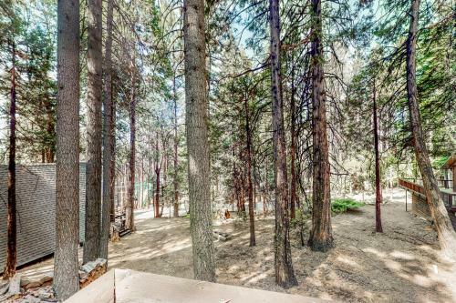 Pine Tree Lodge