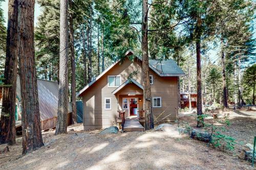 Pine Tree Lodge