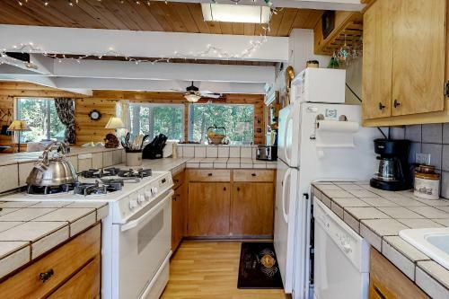 Beary Happy Cabin