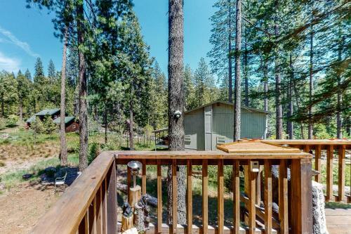 Beary Happy Cabin