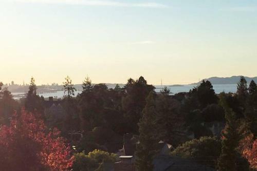 Apartamento Elegant Spacious Private Studio ~ Upscale Berkeley