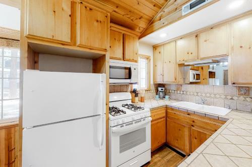 Aurora Bear Cabin