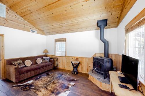 Aurora Bear Cabin