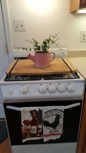 Zen Cottage In Big Bear