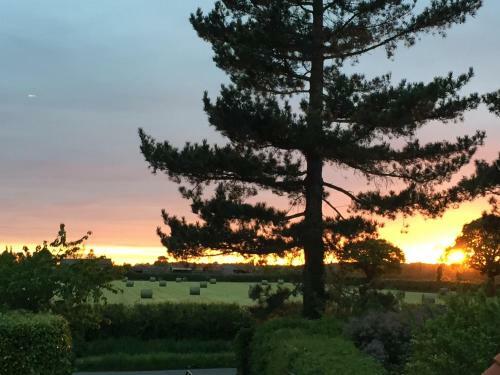 Hostal Willow Tree Cottages