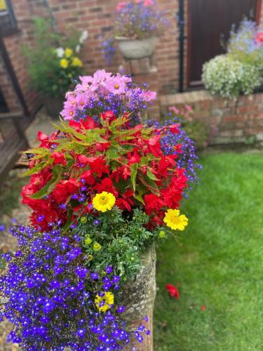 Hostal Willow Tree Cottages