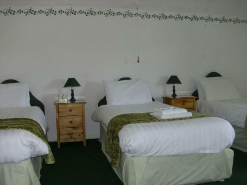 Hostal The Golden Lion Hotel