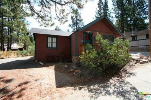 Finns Fish Camp