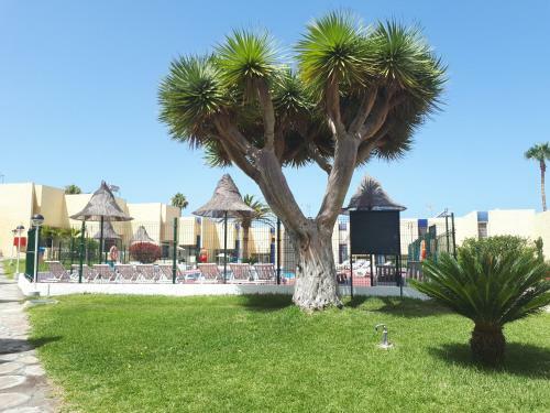 Apartamento El Cortijo Luxury