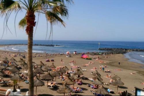 Beach Life 365 Apartment