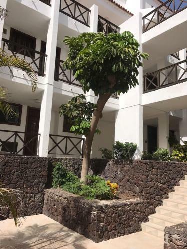 Apartamento En Playa Las Americas