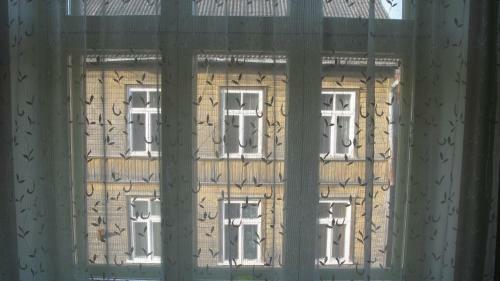 Bed & Breakfast T�he Maja1