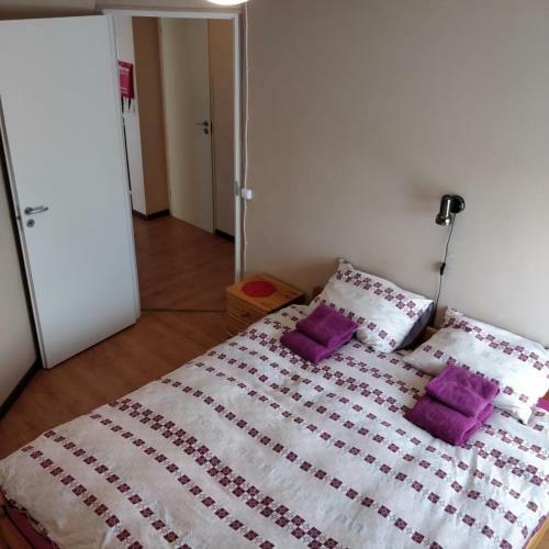 Kanepi Accommodation Apartment