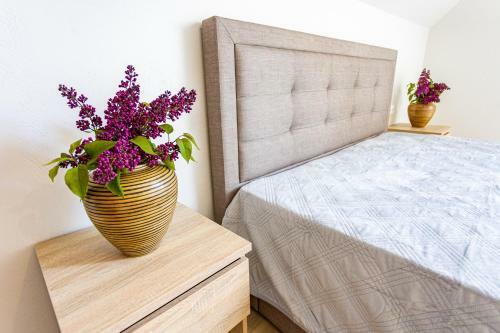 City Centre Apartment