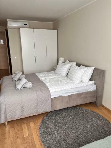 Hostal Aisa 39, Kaheinimesetuba