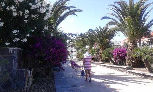 Apartamento Bungalow Main Street Playa Del Ingles