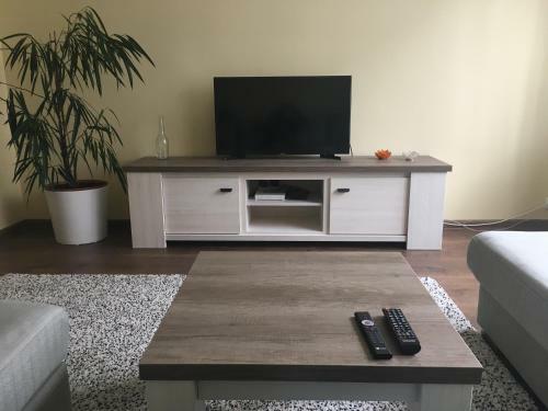 Liivalaia Apartment