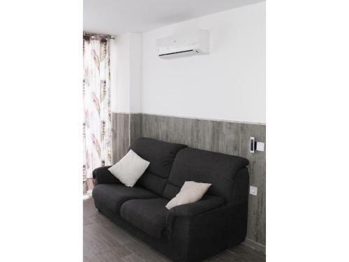 Starfish Friendly Apartment