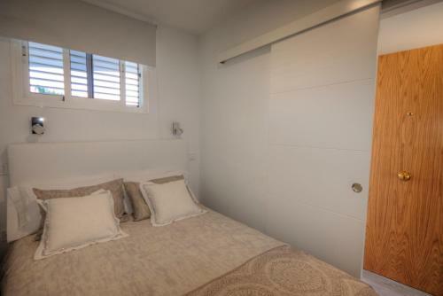 Starfish Friendly Apartment