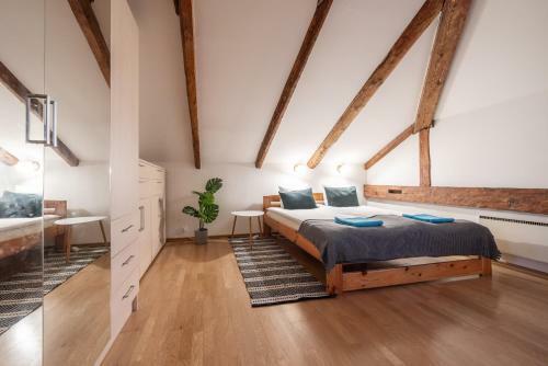 Old Town - Vana Viru Apartment