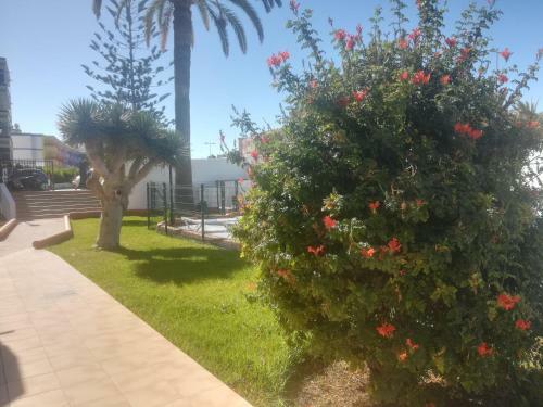 Apartamento Teror Playa