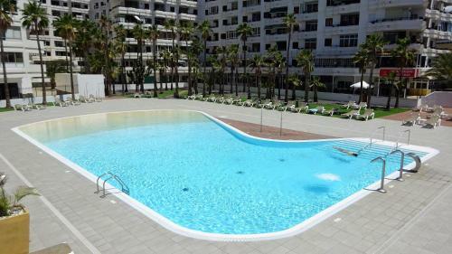 Siesta Friendly Apartment