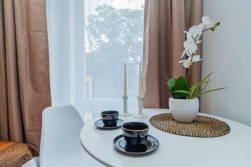 Apartamento Tiny Cozy Studios