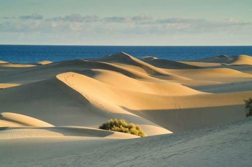 Apartamento Las Olas Beach