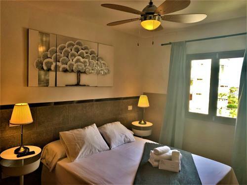 Coconut Friendly Apartment