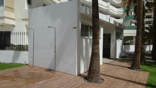 Coconut Friendly Apartment