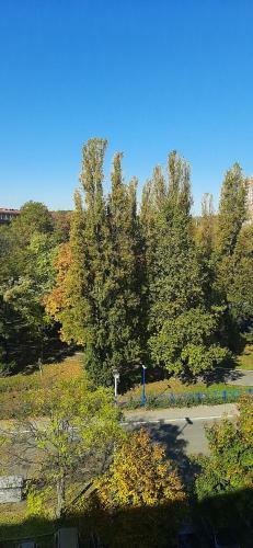 Apartment Student City, Wifi 100mb/s, Free Parking