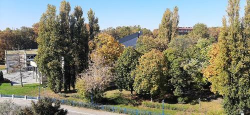 Apartment Student City, Wifi 100mb/s, Free Parking