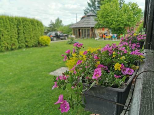 Elderflower Villa # Ranc Zova# Zlatibor
