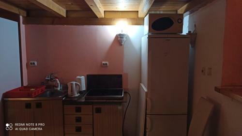 Apartamento Galerija-duplex