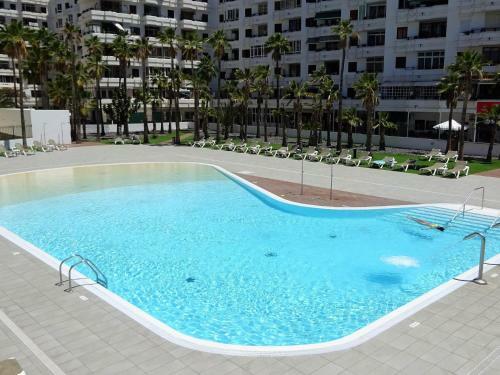 Lighthouse Friendly Apartment