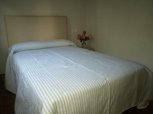 Albergue Pallanes