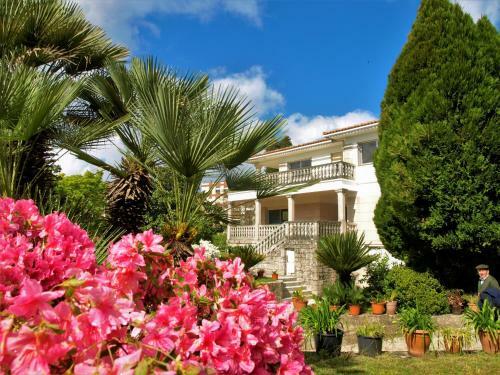 Albergue Pallanes