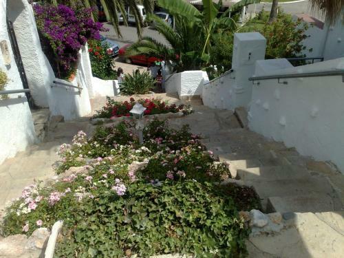 Apartamento Mily