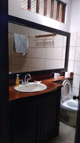 Alquiler De Cuartos En Tamarindo
