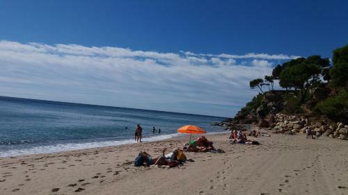 Espectacular Apartamento En Primera L�nea de Playa