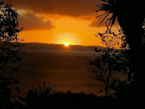 Bed & Breakfast La Ceiba Tree Lodge