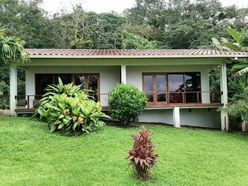 Bed & Breakfast La Ceiba Tree Lodge