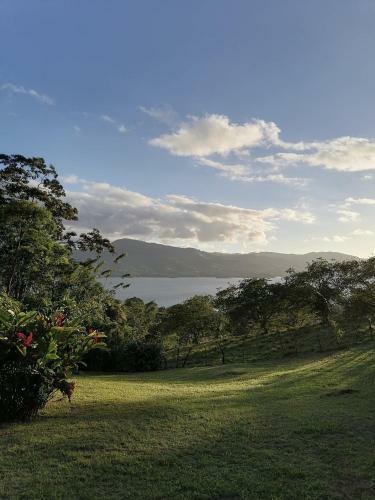 Bed & Breakfast La Ceiba Tree Lodge