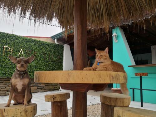 Playa Tila Lodging & Restaurant