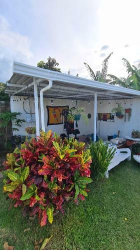 Playa Tila Lodging & Restaurant