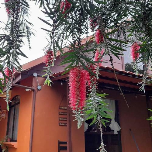 Bed & Breakfast Hospedaje Amanecer