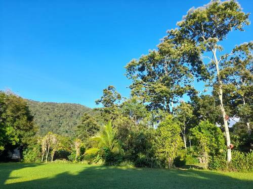 Bed & Breakfast Hospedaje Amanecer